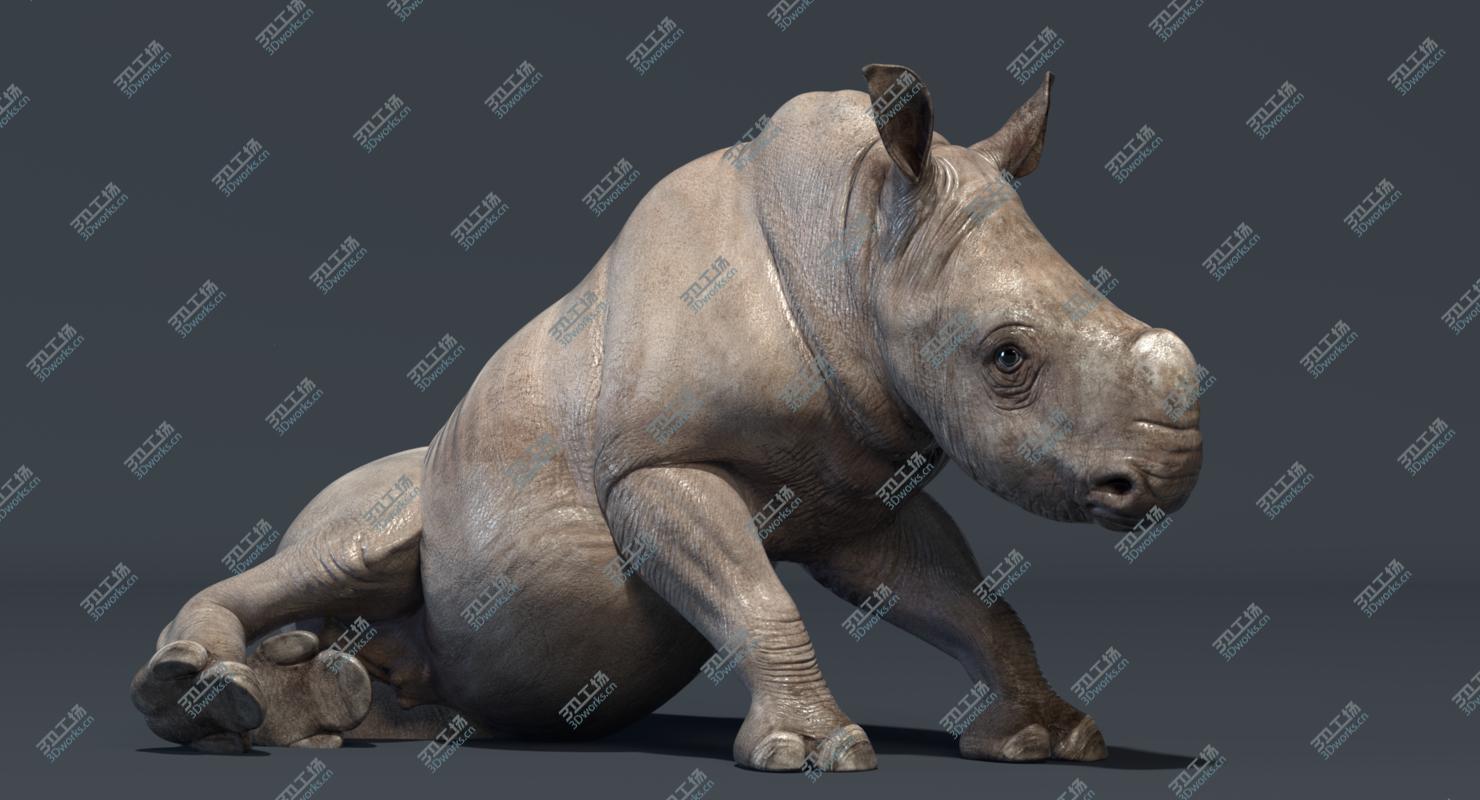 images/goods_img/202104091/3D Rhino Baby (Rigged)/5.jpg